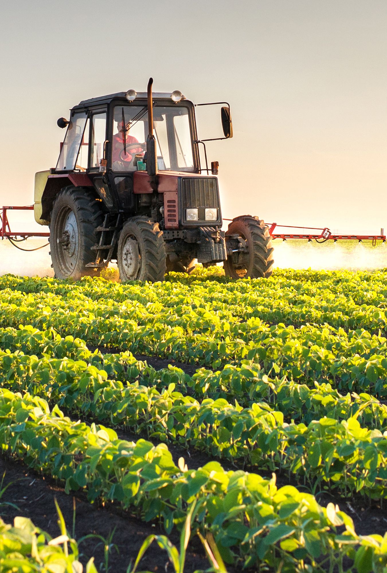 Agriculture