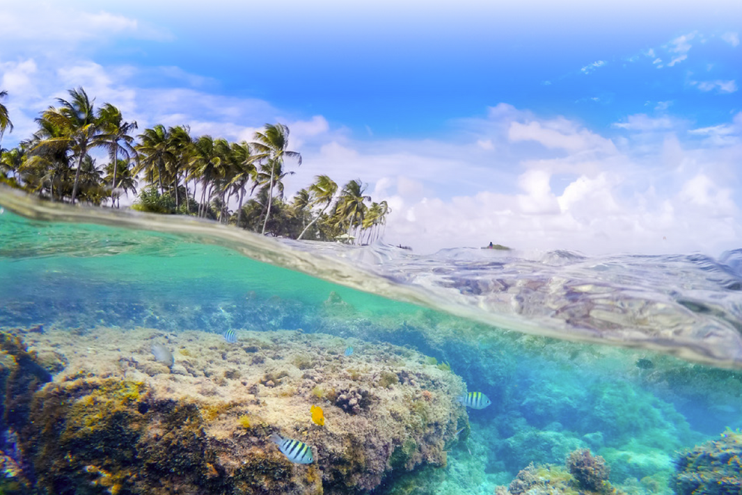 Safeguarding the Seas - How the Chemical Industry can Prevent Marine Microbiome Disruption