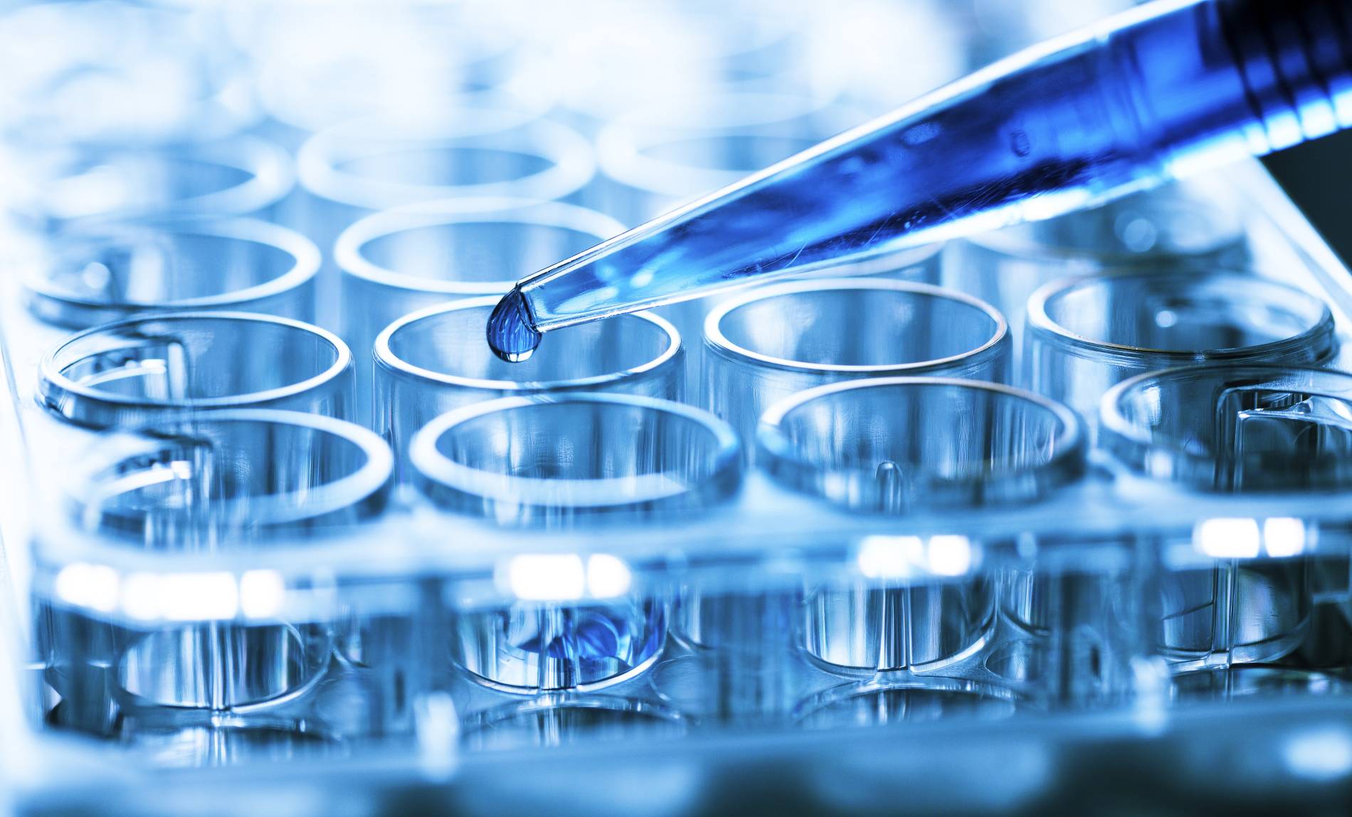 Laboratory and Research